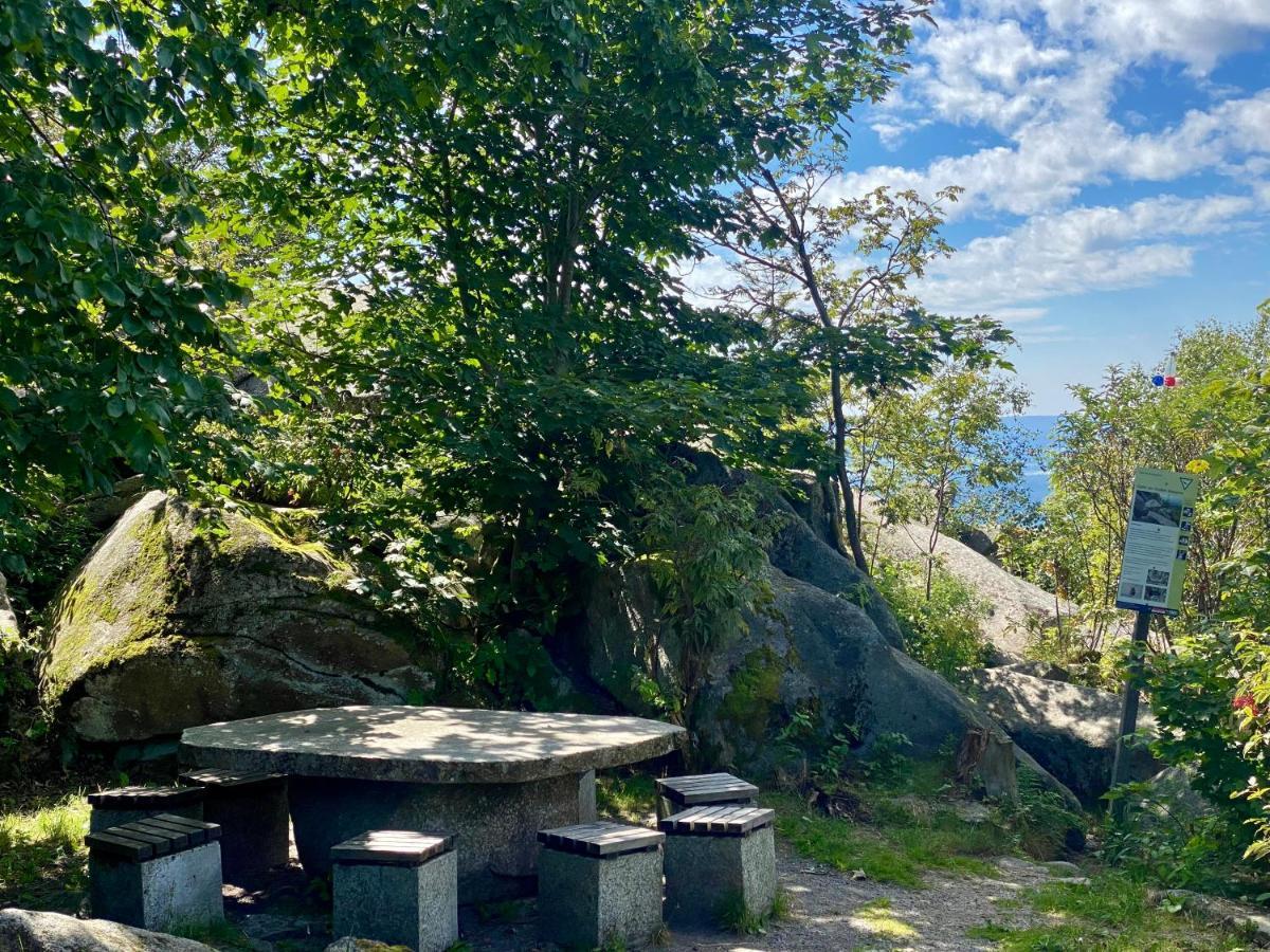Ferienwohnung Oxana Im Naturpark Fichtelgebirge Schonwald  Dış mekan fotoğraf