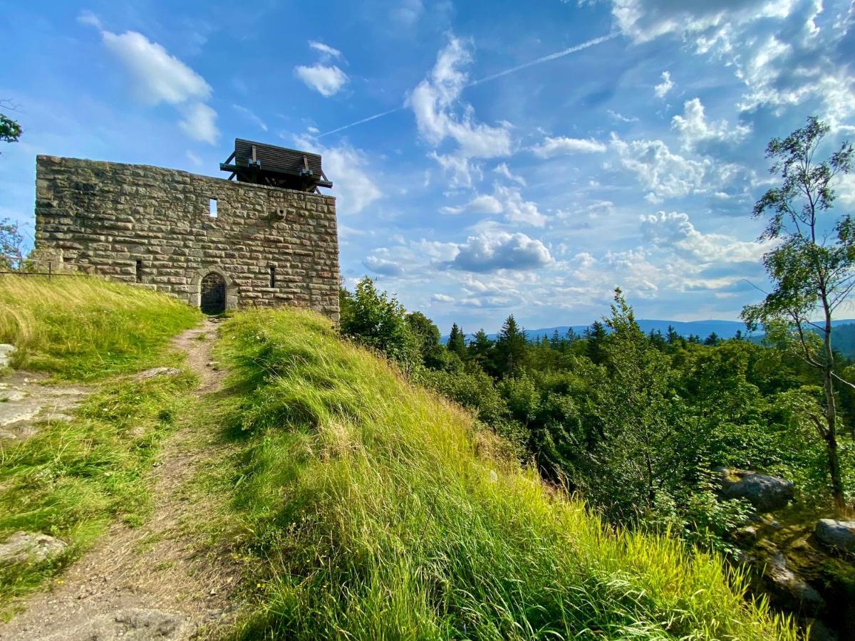 Ferienwohnung Oxana Im Naturpark Fichtelgebirge Schonwald  Dış mekan fotoğraf