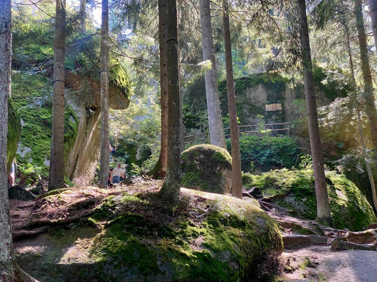 Ferienwohnung Oxana Im Naturpark Fichtelgebirge Schonwald  Dış mekan fotoğraf