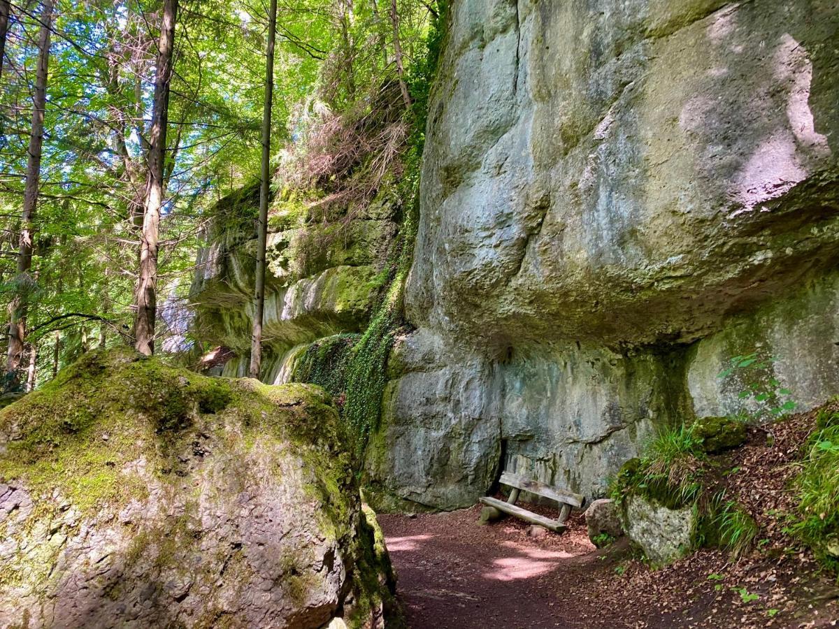 Ferienwohnung Oxana Im Naturpark Fichtelgebirge Schonwald  Dış mekan fotoğraf