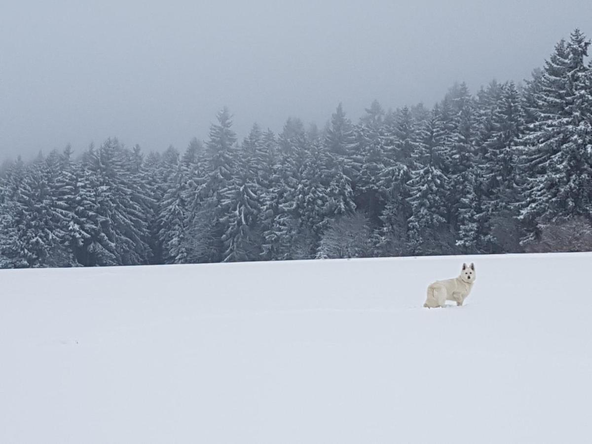 Ferienwohnung Oxana Im Naturpark Fichtelgebirge Schonwald  Dış mekan fotoğraf