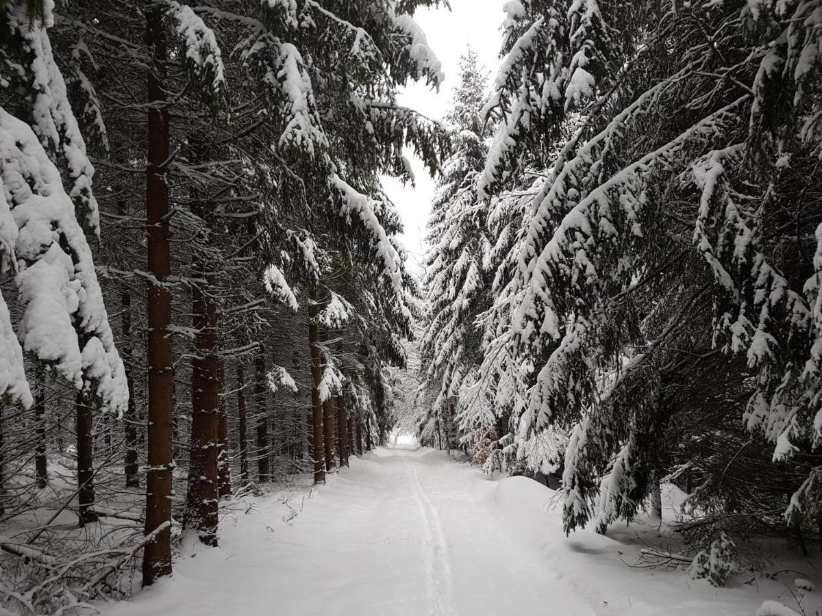 Ferienwohnung Oxana Im Naturpark Fichtelgebirge Schonwald  Dış mekan fotoğraf